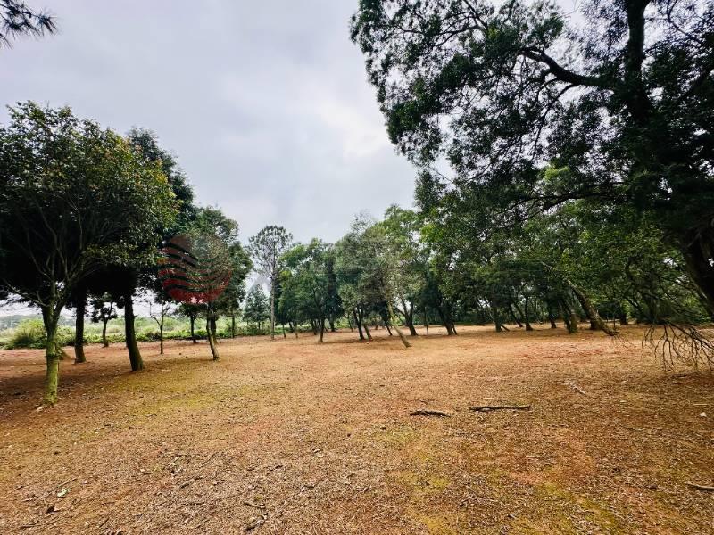 近高原交流道台3線一般農3121房屋室內格局與周邊環境