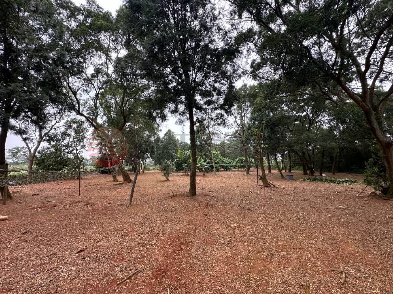 近高原交流道台3線一般農3121房屋室內格局與周邊環境