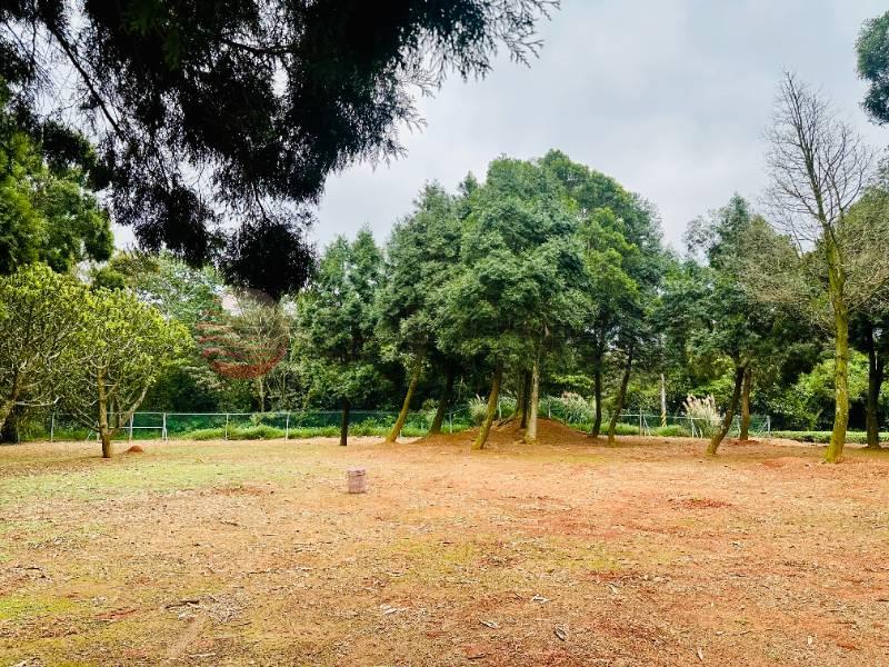 近高原交流道台3線一般農3121房屋室內格局與周邊環境