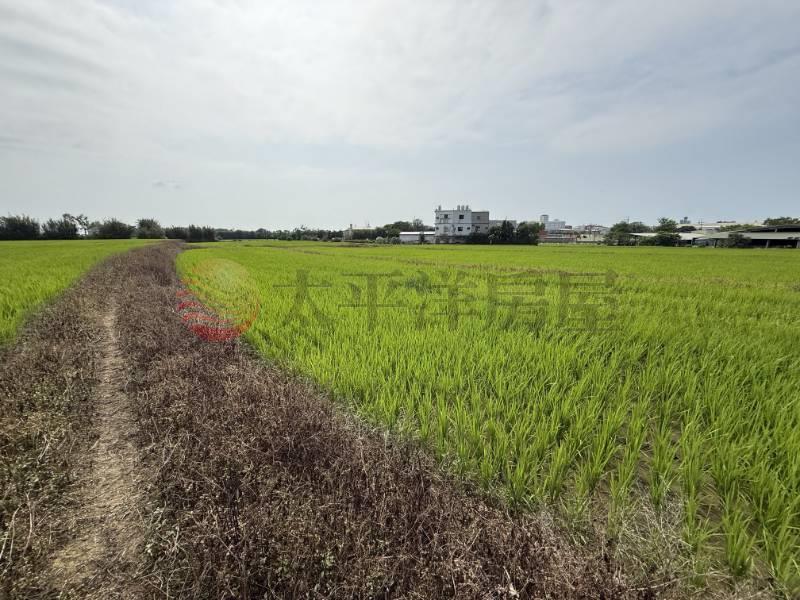 新屋中山段特農房屋室內格局與周邊環境