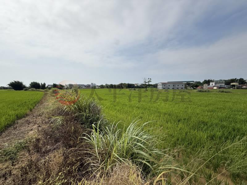 新屋中山段特農房屋室內格局與周邊環境