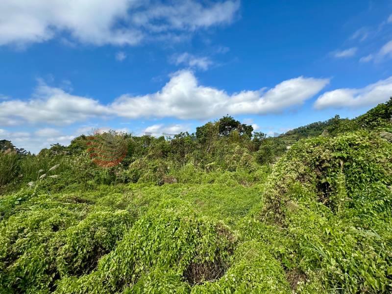 南庄員林獅頭山道農地房屋室內格局與周邊環境
