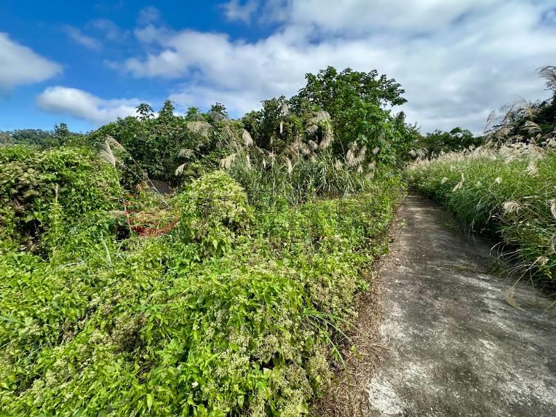 南庄員林獅頭山道農地房屋室內格局與周邊環境