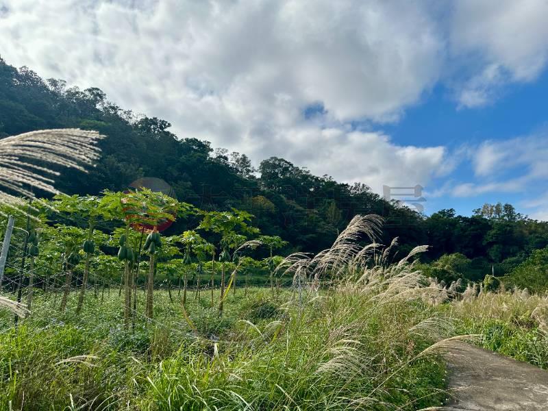 南庄員林獅頭山道農地房屋室內格局與周邊環境