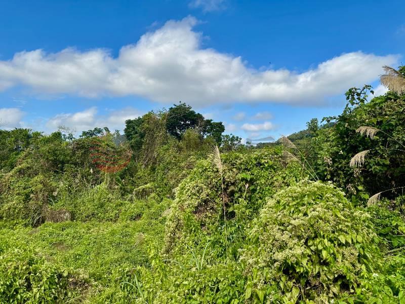 南庄員林獅頭山道農地房屋室內格局與周邊環境