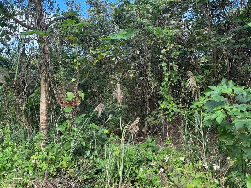 南庄員林獅頭山道農地房屋室內格局與周邊環境