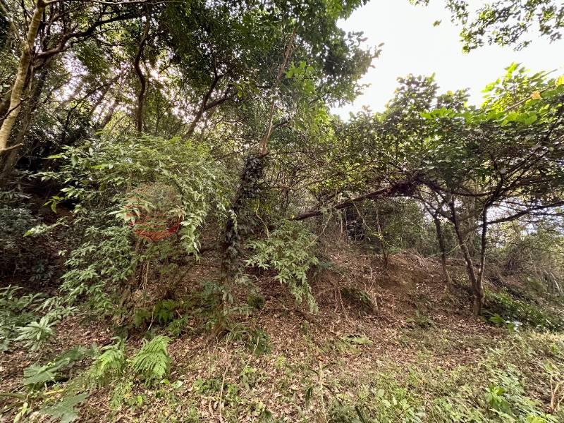 南庄員林獅頭山道農地房屋室內格局與周邊環境