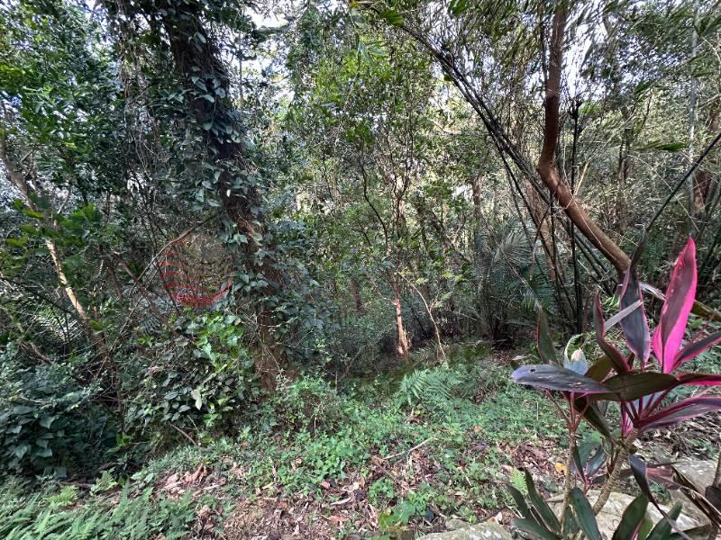 南庄員林獅頭山道農地房屋室內格局與周邊環境