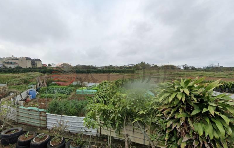 (專約)新竹新豐鄉福興段農地房屋室內格局與周邊環境