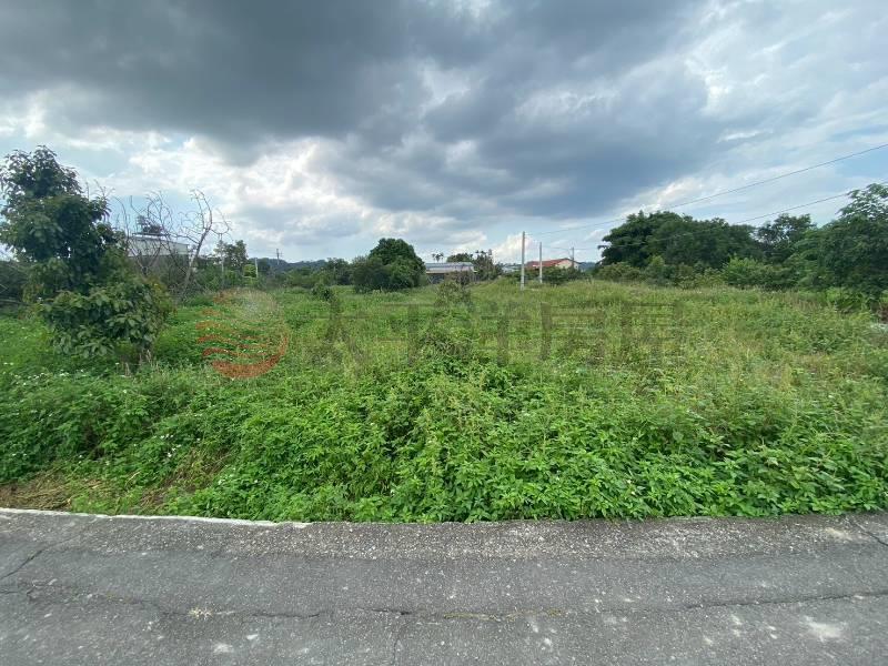 東勢東關路都計農B