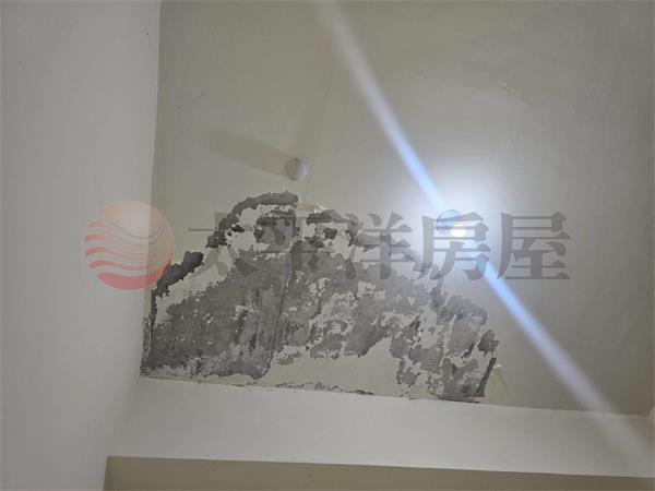 大溪近文化路一樓店面房屋室內格局與周邊環境