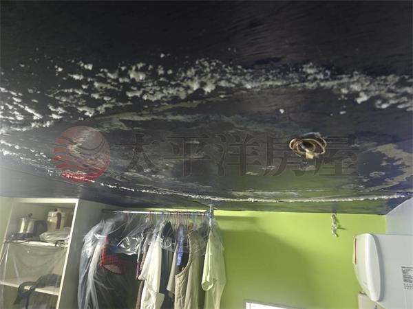 大溪近文化路一樓店面房屋室內格局與周邊環境