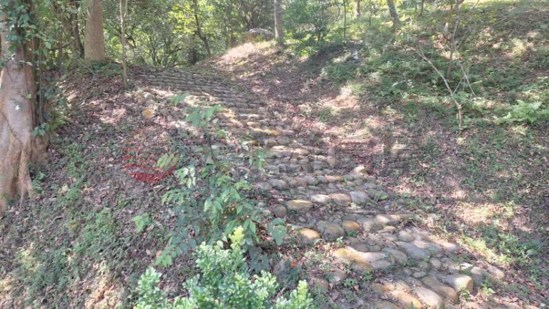 北埔歐式鄉村莊園房屋室內格局與周邊環境