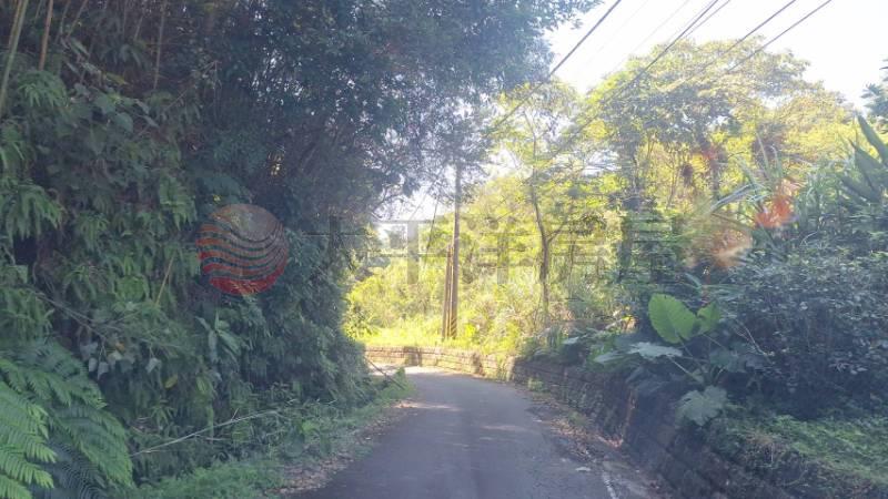 北埔歐式鄉村莊園房屋室內格局與周邊環境