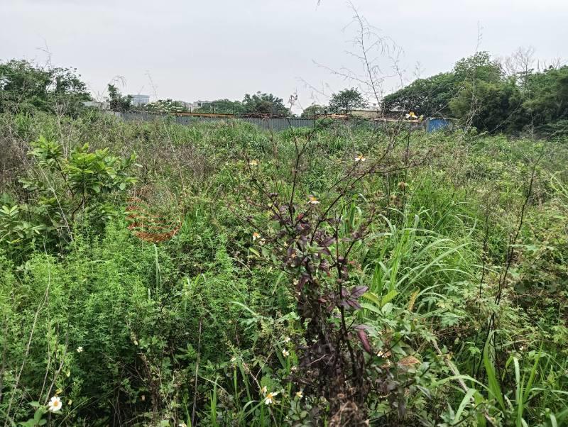 中壢市區大面寬都內農房屋室內格局與周邊環境