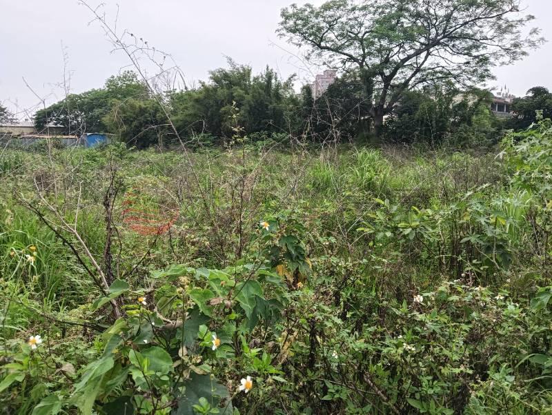 中壢市區大面寬都內農房屋室內格局與周邊環境