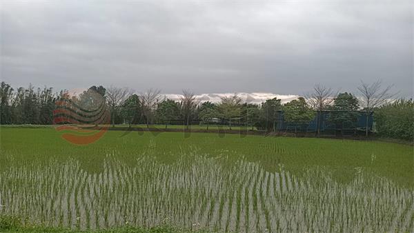 平鎮大面寬一般農房屋室內格局與周邊環境