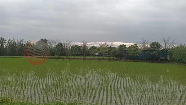 平鎮大面寬一般農房屋室內格局與周邊環境