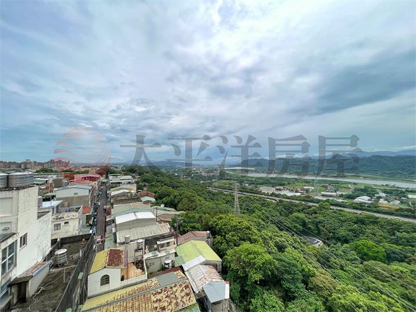 稀有電梯豪宅別墅房屋室內格局與周邊環境