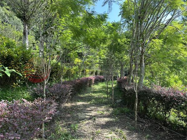 苗栗大湖築夢莊園房屋室內格局與周邊環境