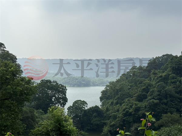 苗栗大湖築夢莊園房屋室內格局與周邊環境