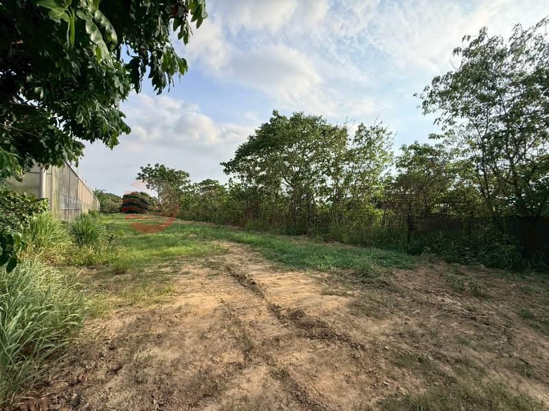 近高鐵崙頂1.1分有路農地房屋室內格局與周邊環境