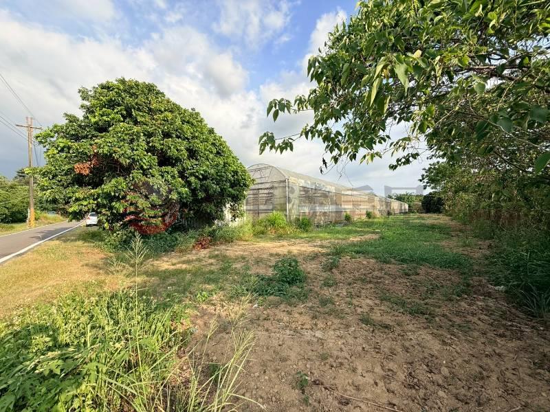 近高鐵崙頂1.1分有路農地房屋室內格局與周邊環境