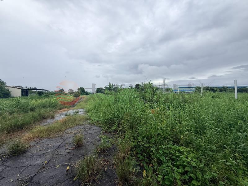 台南高鐵林子邊段1.5分臨路農地B房屋室內格局與周邊環境