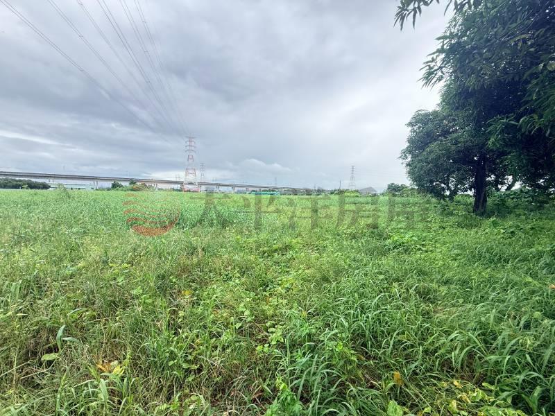 台南高鐵林子邊段3.6分投資農地D房屋室內格局與周邊環境