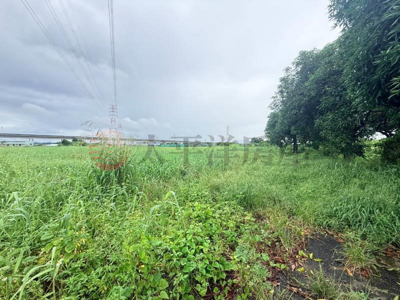 台南高鐵林子邊段3.6分投資農地D房屋室內格局與周邊環境