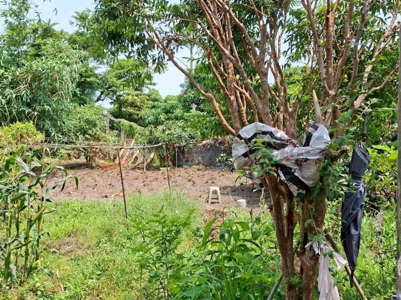 五結國中DIY透天房屋室內格局與周邊環境