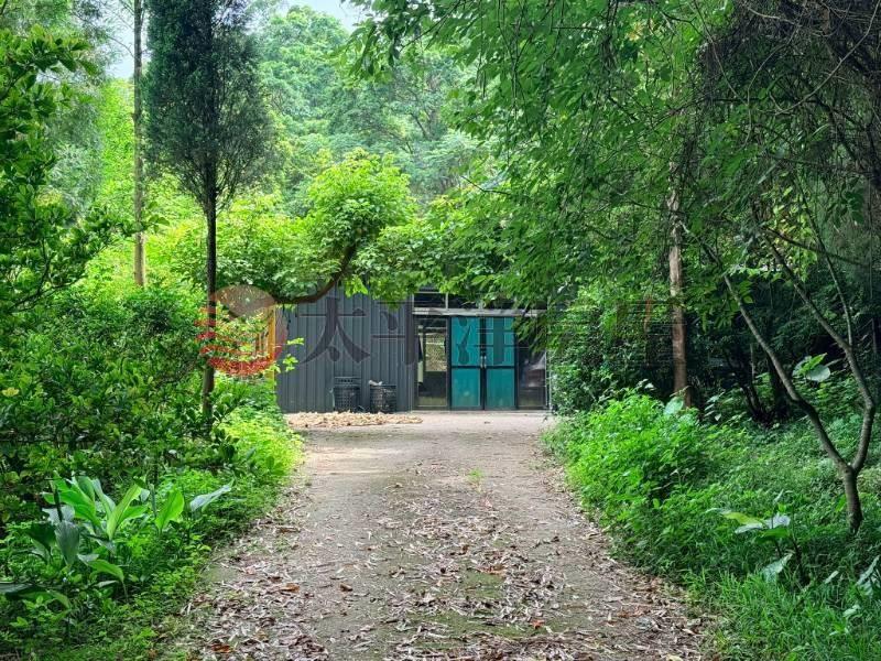 北埔山林秘境農+建地房屋室內格局與周邊環境