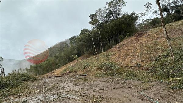 重返野生嘉樂原保地