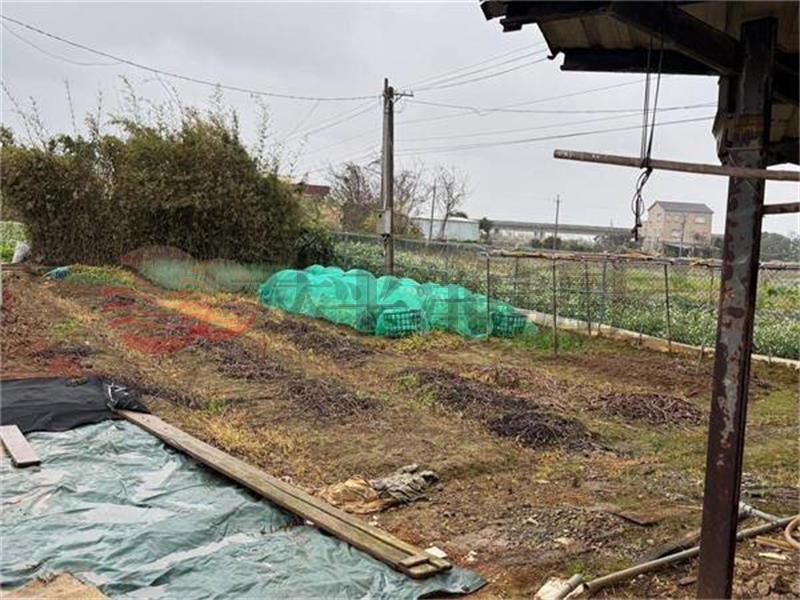 中壢興和段美農地房屋室內格局與周邊環境