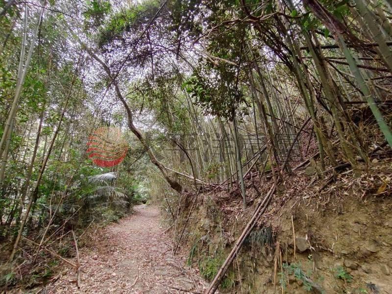 苗栗獅潭鄉風景林地房屋室內格局與周邊環境