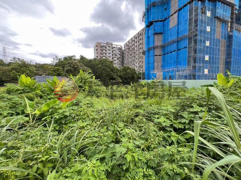 石門旅館區建地房屋室內格局與周邊環境