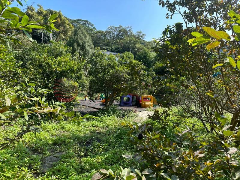 橫山合法豪華農舍莊園(可露營)房屋室內格局與周邊環境