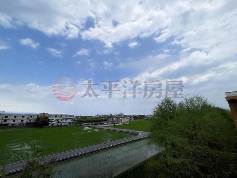 五結寬院子大坪數邊間別墅房屋室內格局與周邊環境