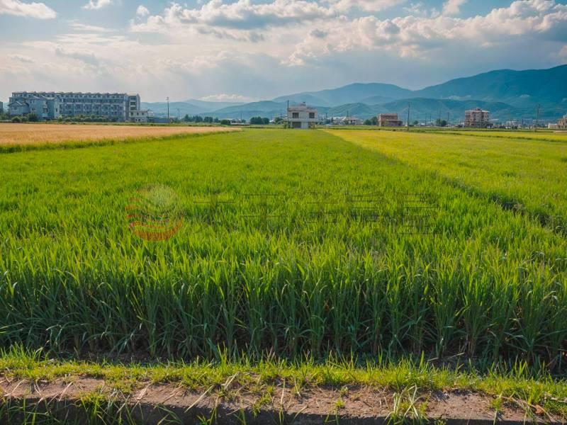 礁溪玉光國五旁河岸足坪美農地房屋室內格局與周邊環境