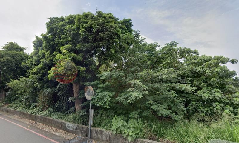 新員榮醫院特區三面路持分建地房屋室內格局與周邊環境