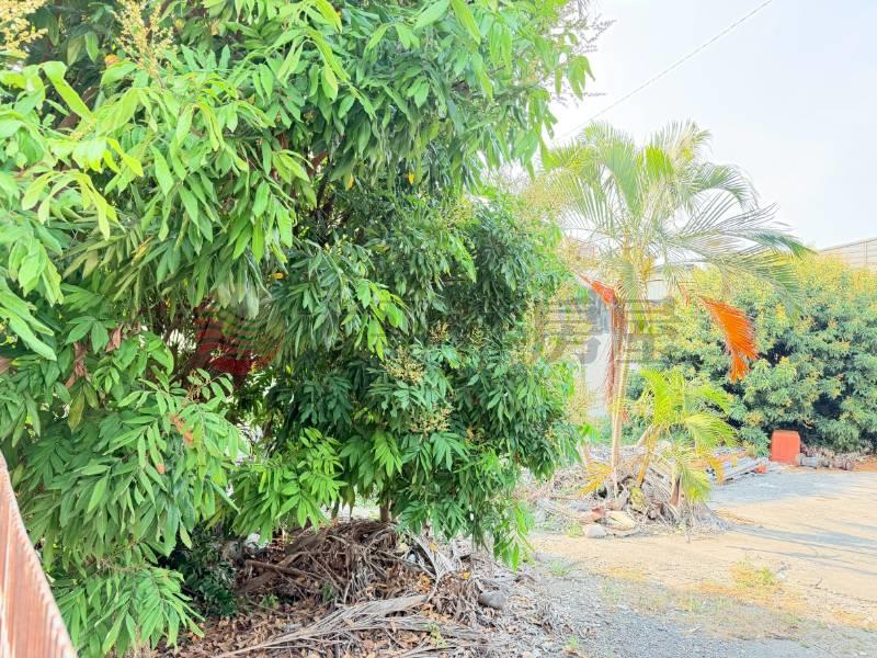 大村旗興路美建地1房屋室內格局與周邊環境