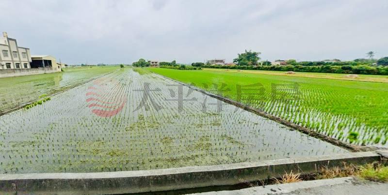 埤頭新庄美田地房屋室內格局與周邊環境