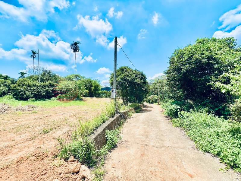 芬園大彰路一彎美農地