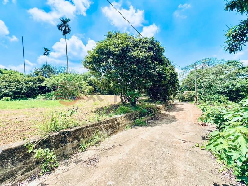 芬園大彰路一彎美農地房屋室內格局與周邊環境