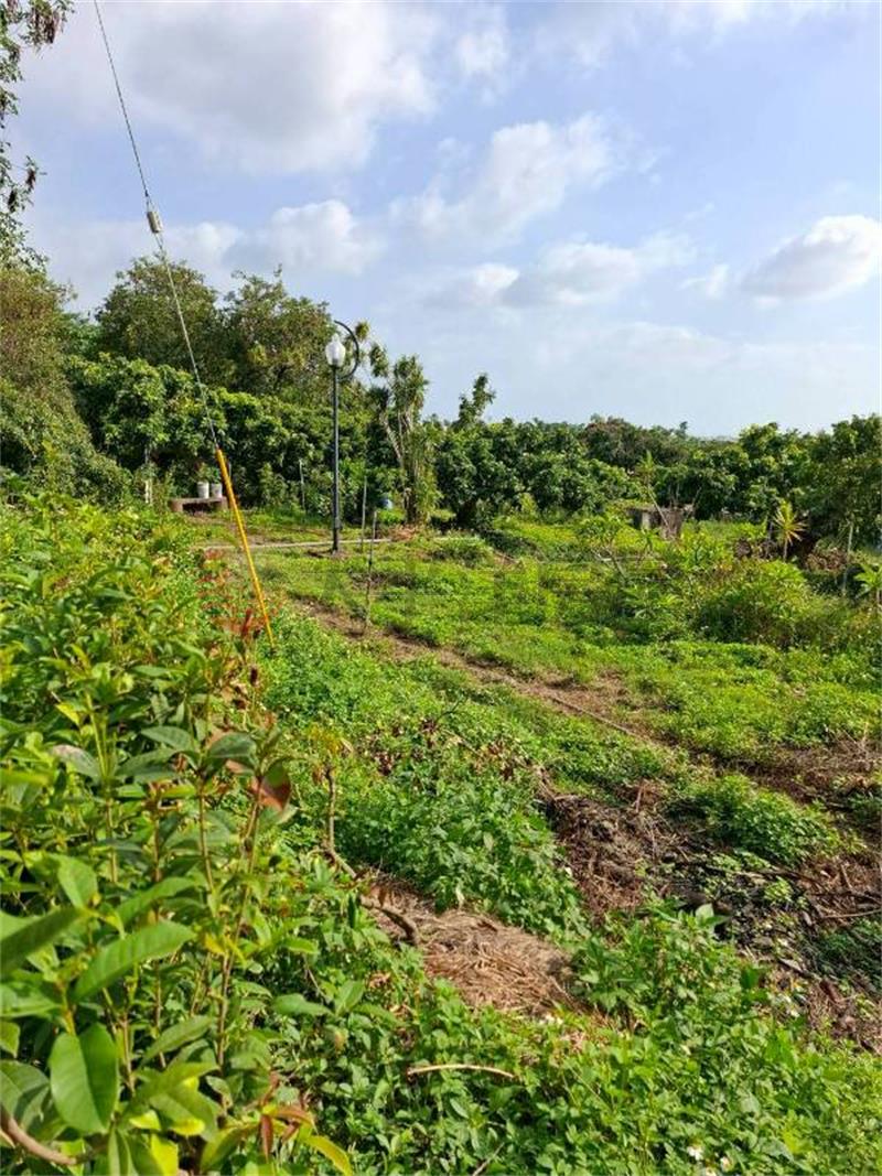 員林中東社區農牧用地房屋室內格局與周邊環境