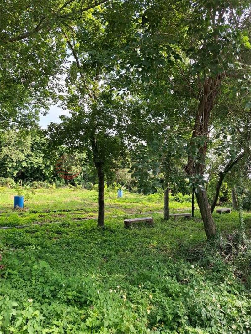 員林中東社區農牧用地房屋室內格局與周邊環境