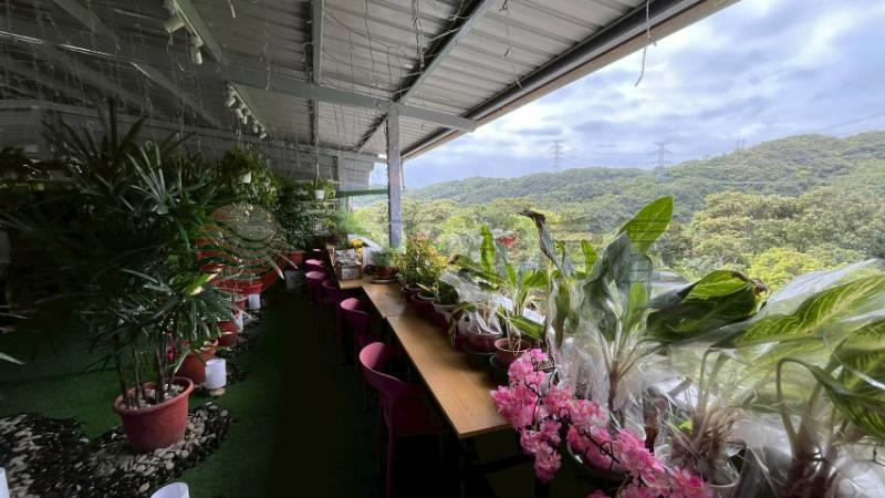 大竿林裝潢空中花園房屋室內格局與周邊環境