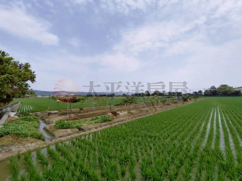 獨家花壇好山好水開心農場房屋室內格局與周邊環境