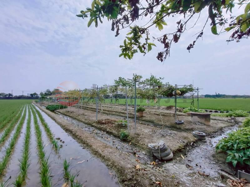 獨家花壇好山好水開心農場房屋室內格局與周邊環境