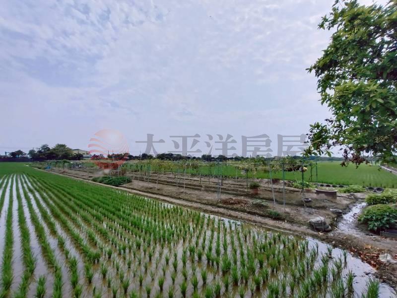 獨家花壇好山好水開心農場房屋室內格局與周邊環境